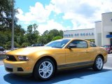 2010 Sunset Gold Metallic Ford Mustang V6 Coupe #35054590