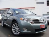 2009 Toyota Venza I4