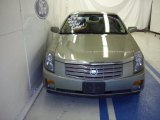 2004 Silver Green Cadillac CTS Sedan #35177546
