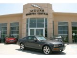 2008 Alloy Metallic Ford Mustang V6 Premium Coupe #35178051