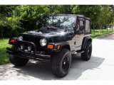 2003 Black Clearcoat Jeep Wrangler X 4x4 #35221988