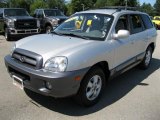 2006 Pewter Hyundai Santa Fe GLS 4WD #35222568