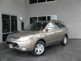 2010 Driftwood Metallic Hyundai Veracruz GLS #35282975