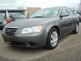 2009 Willow Gray Hyundai Sonata GLS V6 #35283012