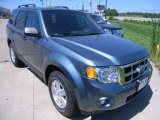 2011 Steel Blue Metallic Ford Escape XLT V6 4WD #35283869