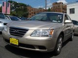 2010 Hyundai Sonata GLS