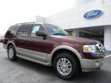 2010 Ford Expedition Eddie Bauer 4x4