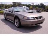 2002 Mineral Grey Metallic Ford Mustang GT Convertible #35354170