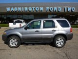 2007 Tungsten Grey Metallic Ford Escape XLT V6 4WD #35427613