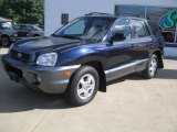2004 Moonlit Blue Hyundai Santa Fe GLS 4WD #35427924