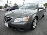 2010 Hyundai Sonata GLS