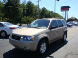 2007 Dune Pearl Metallic Ford Escape Limited 4WD #35513025