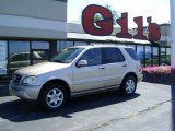 2002 Desert Silver Metallic Mercedes-Benz ML 500 4Matic #35483365