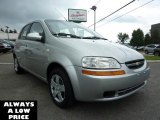 2007 Cosmic Silver Chevrolet Aveo 5 LS Hatchback #35551475