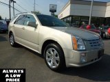 2007 Gold Mist Cadillac SRX 4 V6 AWD #35551165