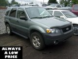 2005 Titanium Green Metallic Ford Escape XLT V6 4WD #35551197