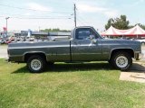 1986 Chevrolet C/K C20 Custom Deluxe Regular Cab Exterior