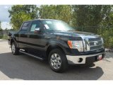 2010 Tuxedo Black Ford F150 XLT SuperCrew #35551853