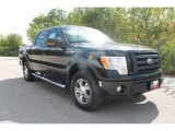 2010 Ford F150 FX4 SuperCrew 4x4