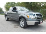 2010 Sterling Grey Metallic Ford F150 XLT SuperCrew #35551866