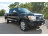 2010 Ford F150 Platinum SuperCrew 4x4