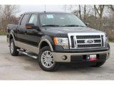 2010 Tuxedo Black Ford F150 Lariat SuperCrew #35551878