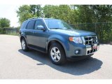 2010 Steel Blue Metallic Ford Escape Limited V6 #35551899