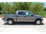2010 Sterling Grey Metallic Ford F150 XLT SuperCrew #35551919