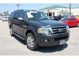 2009 Black Pearl Slate Metallic Ford Expedition XLT #35552334