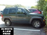 2003 Jeep Liberty Shale Green Metallic