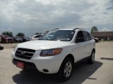 2009 Hyundai Santa Fe GLS