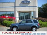 2011 Steel Blue Metallic Ford Escape XLT 4WD #35899455