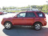 2010 Sangria Red Metallic Ford Escape Limited V6 4WD #35956032