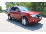 2010 Sangria Red Metallic Ford Escape XLT #35956056