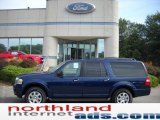 Dark Blue Pearl Metallic Ford Expedition in 2010