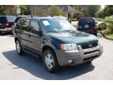 2002 Dark Highland Green Metallic Ford Escape XLT V6 4WD #36063864