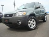 2007 Ford Escape XLT V6 4WD