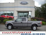 2010 Sterling Grey Metallic Ford F150 XLT SuperCab 4x4 #36062961