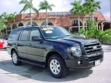 2010 Tuxedo Black Ford Expedition Limited #36063497