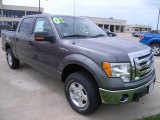 2010 Sterling Grey Metallic Ford F150 XLT SuperCrew 4x4 #36064615