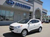 2010 Hyundai Tucson Limited