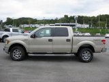 2010 Pueblo Gold Metallic Ford F150 XLT SuperCrew 4x4 #36063076