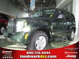 2011 Natural Green Metallic Jeep Liberty Sport #36063627
