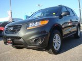 2010 Black Forest Green Metallic Hyundai Santa Fe GLS #36193061