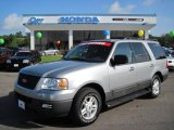 2006 Silver Birch Metallic Ford Expedition XLT 4x4 #36193568