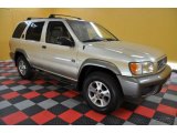 1999 Nissan Pathfinder SE 4x4