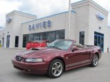 2004 40th Anniversary Crimson Red Metallic Ford Mustang GT Convertible #36193307