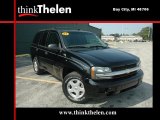2002 Onyx Black Chevrolet TrailBlazer LS #36194097
