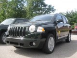 2010 Natural Green Pearl Jeep Compass Sport #36295049