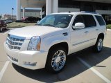 2010 White Diamond Cadillac Escalade Platinum #36347396